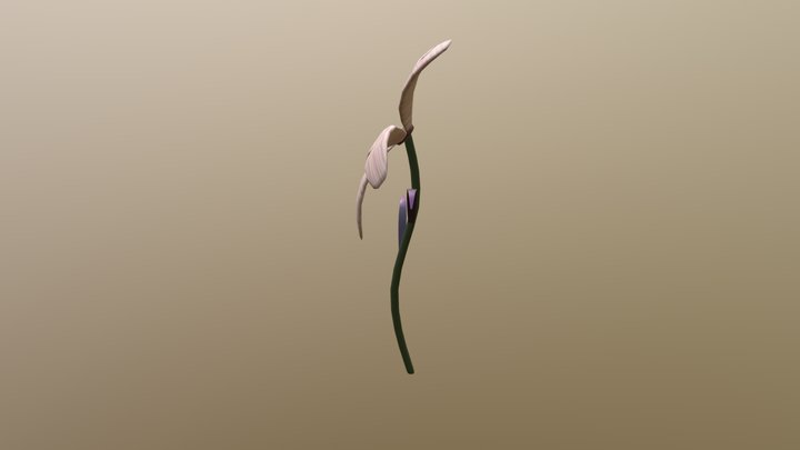 Flower 3D Model