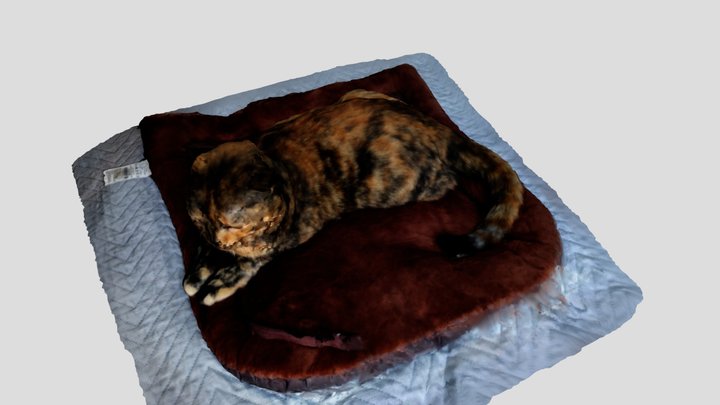 2020 - Margot - Outros – Modello 3D gratuito STL