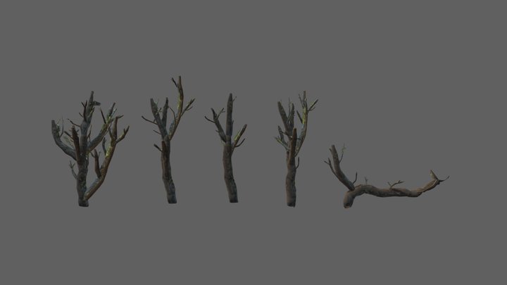 5_dead_trees 3D Model