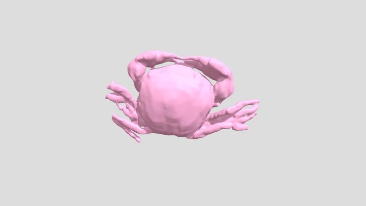 CT scan of fossil crab inside concretion 3D Model