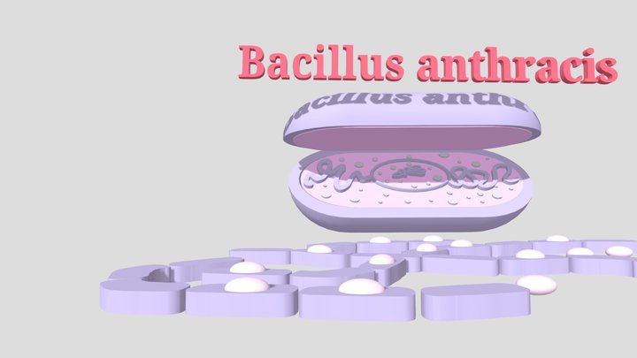 MICROUGHS_bacillusanthracis_BGPL_AJVA_LAMR_VIPI 3D Model