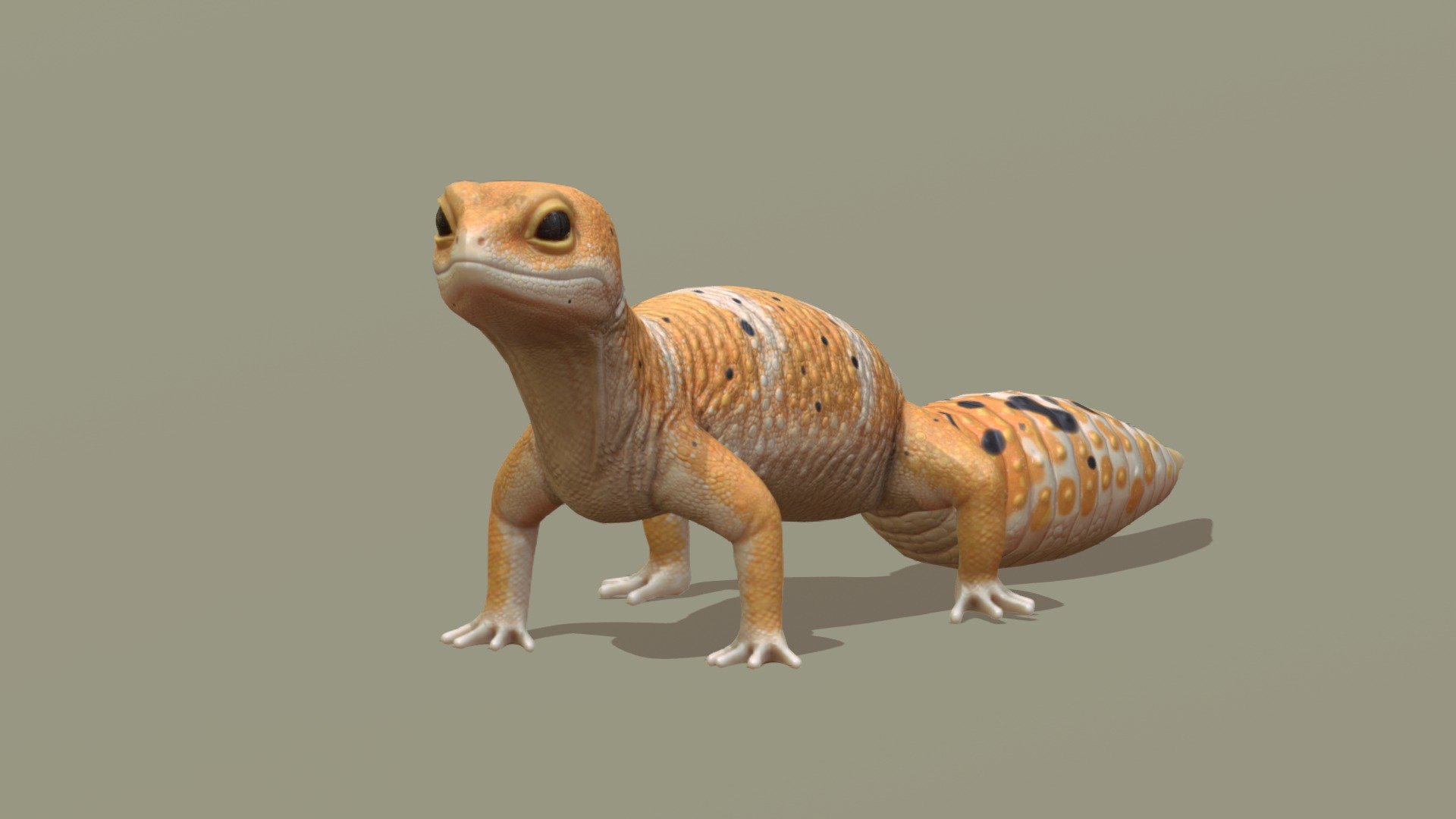 Leopard gecko - 3D model by Dragevv [25f52f2] - Sketchfab