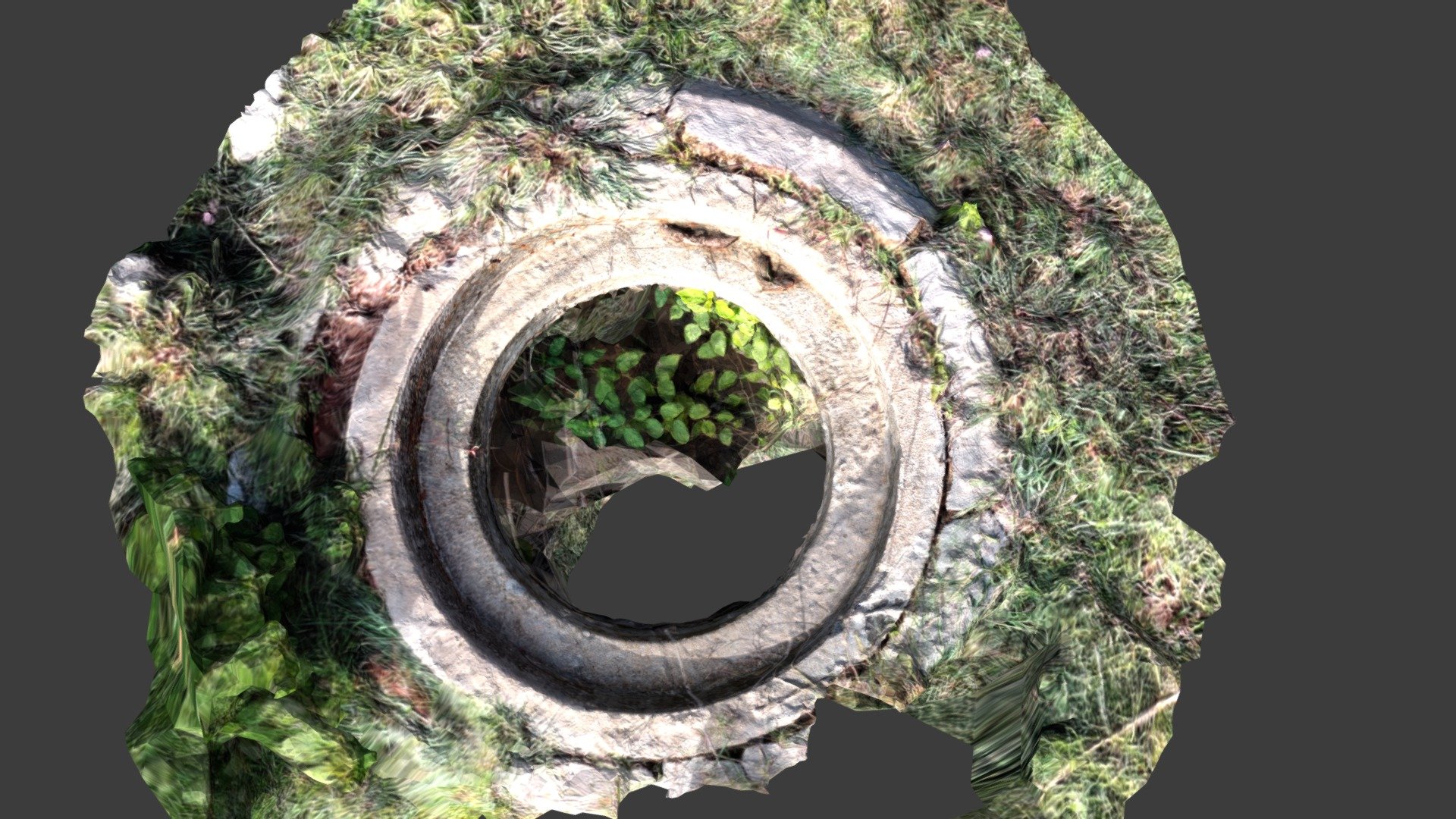 Overgrown Manhole