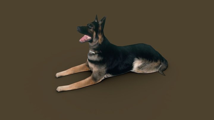 German Shepherd Dog 3D Model