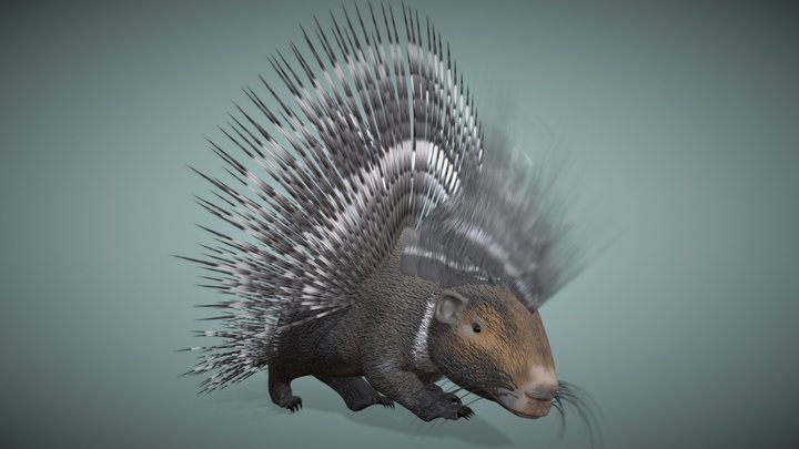 Porcupine_ Animated 3D Model