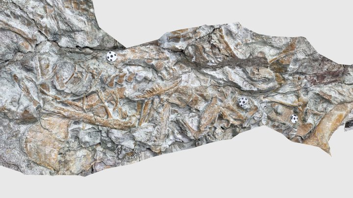 Utahraptor bone bed 3D Model