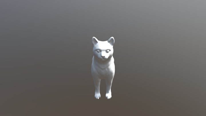 Cat T 3D Model