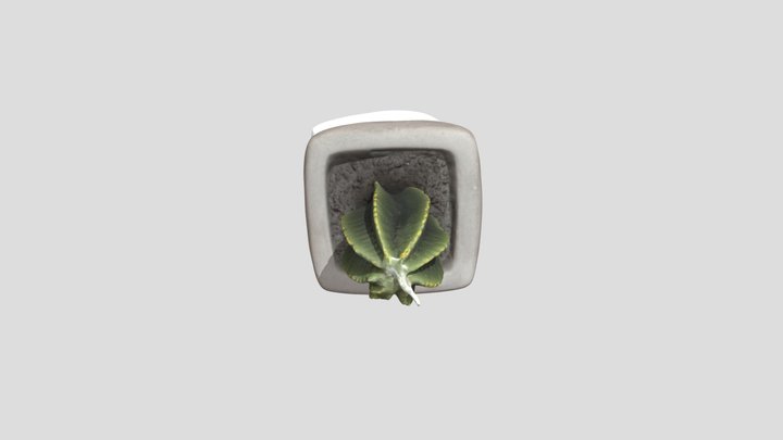 Cactus Candle2023FALL 3D Model