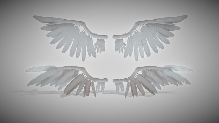 Angel wings for BJD dolls 3D Model