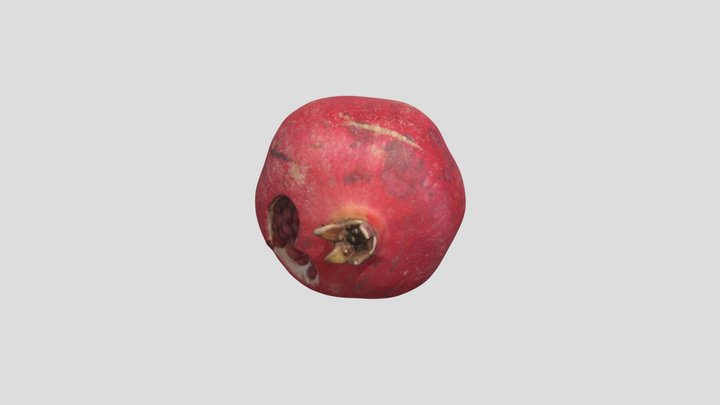 Maya_Pomegranate 3D Model