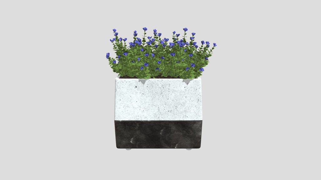 Blue Flowers
