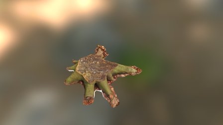 Treestump LowPoly HighRes (4x8k) 3D Model