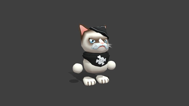 Meowrauder Animations 3D Model