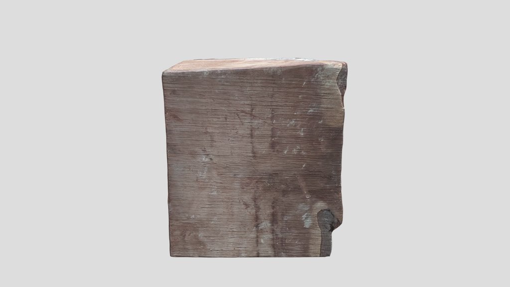 Trunk Cutted