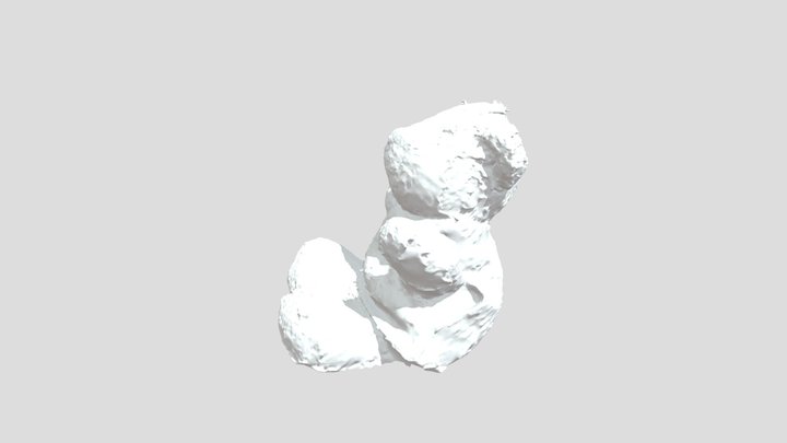 Cornell Bear 3D Model