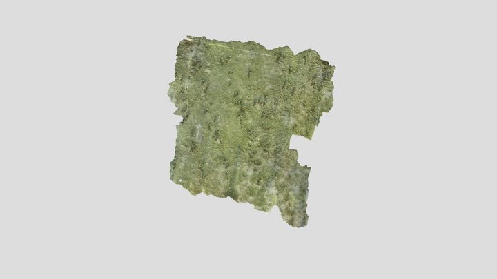 Fig_1b 3D Model