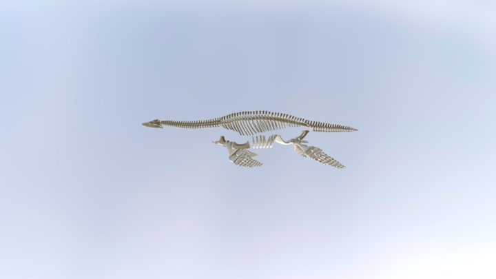 Dino Fish 3D Model