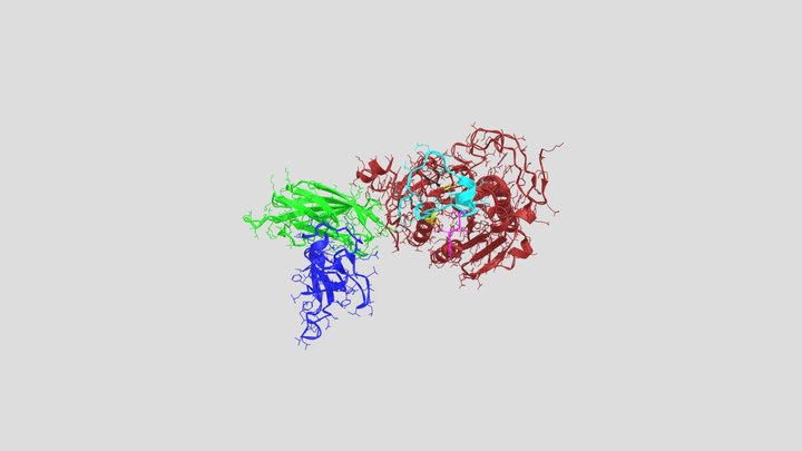Pancreatic Lipase Complex With Colipase (S) 3D Model