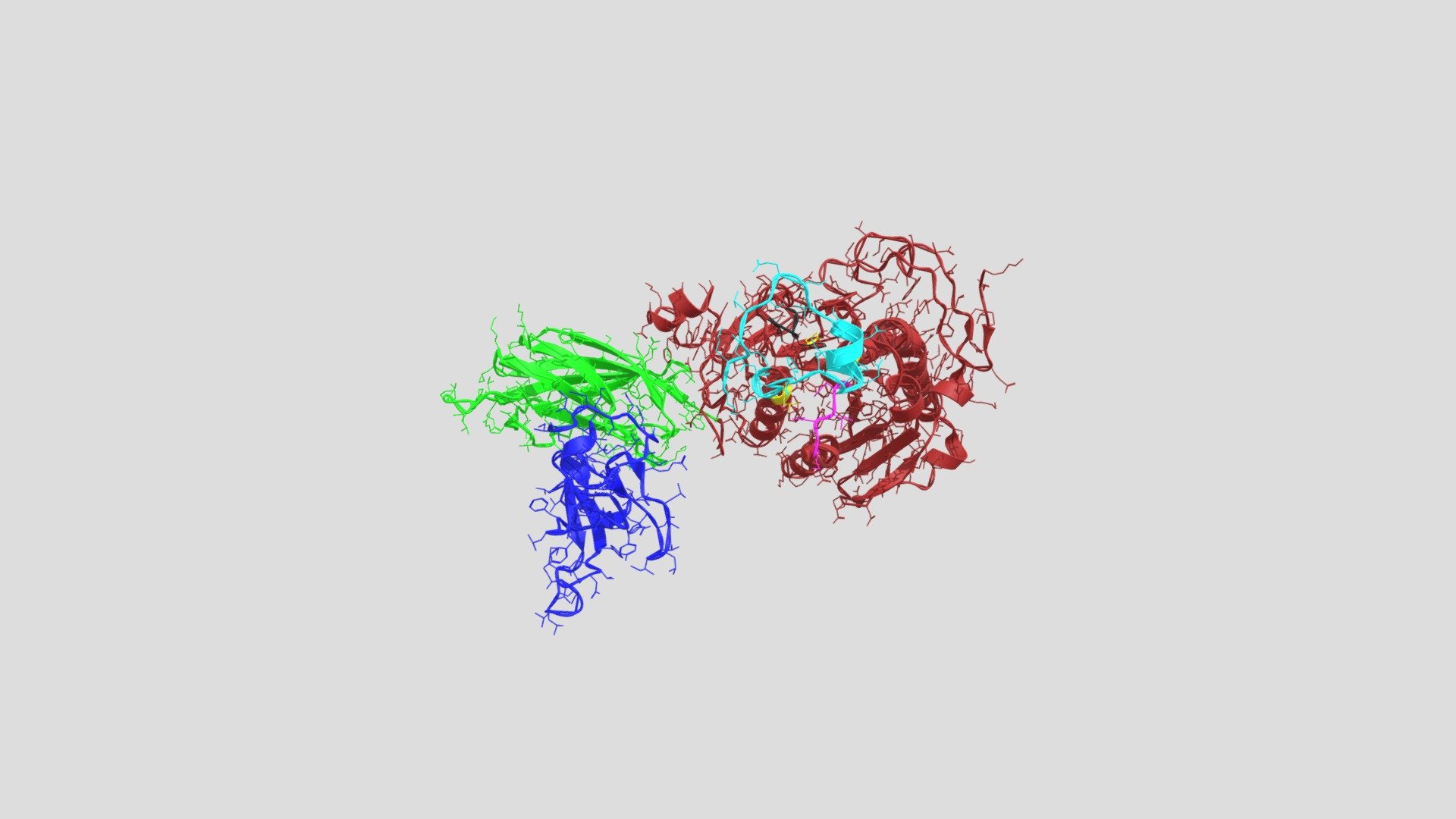 Pancreatic Lipase Complex With Colipase (S) Download Free 3D model by