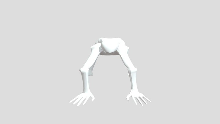 Smiler 3D Model