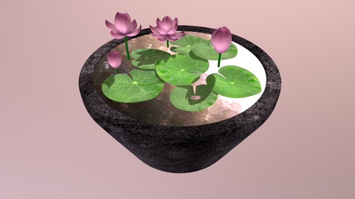 Lotus Flowers in Pot 3D Model