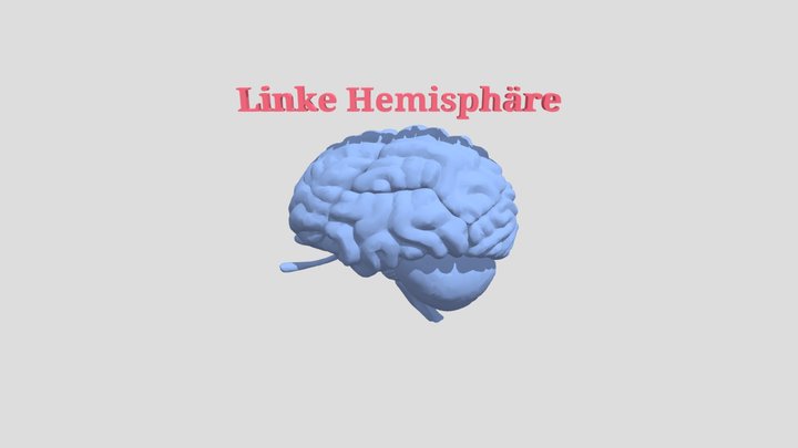 Left Hemisphere - Human Brain