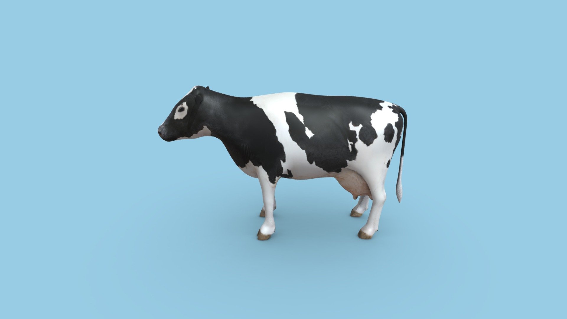 Holsteind cow - 3D model by Chanchalpaul [262758c] - Sketchfab
