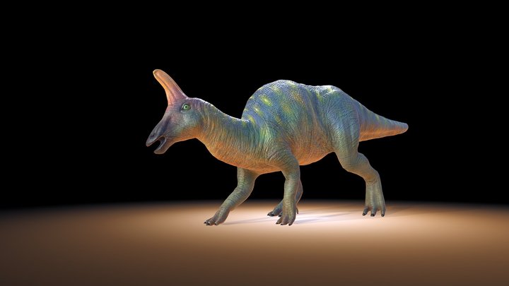 Tsintaosaurus 棘鼻青島龍 3D Model