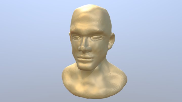 Face01 HIGH 3D Model
