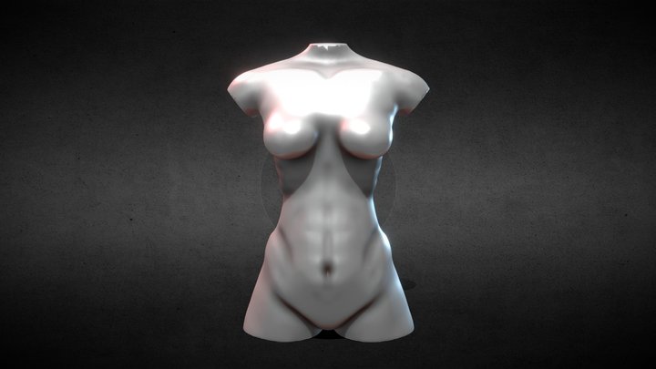 Chest Study Female 3D Model