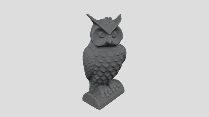 3dscan_owl 3D Model