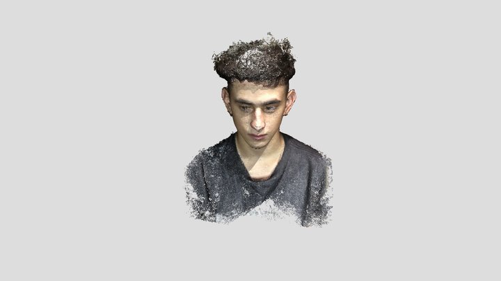 V4 3D Model