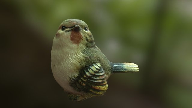 Bird 3D Model