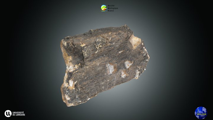 Strie 3D models - Sketchfab