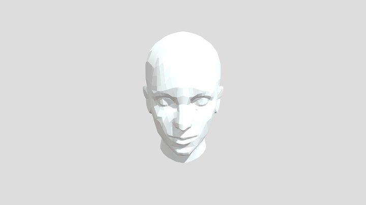 Finally A Head 3D Model