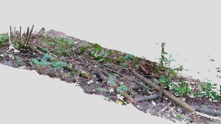 'Kerplunk' style in feature for flood management 3D Model