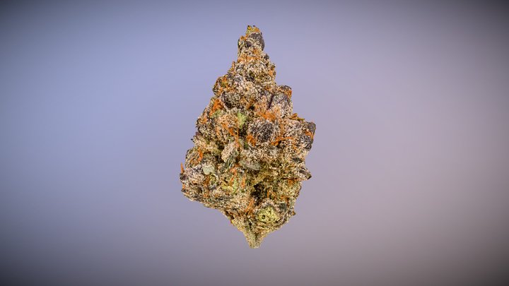 Marijuana Flower 2 3D Model