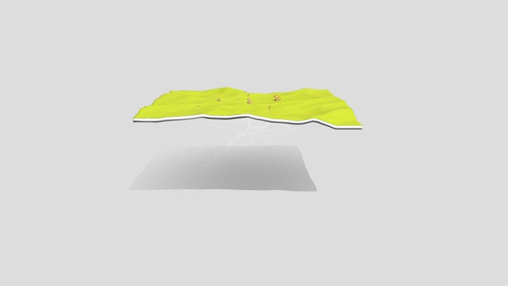 fungi floor 3D Model