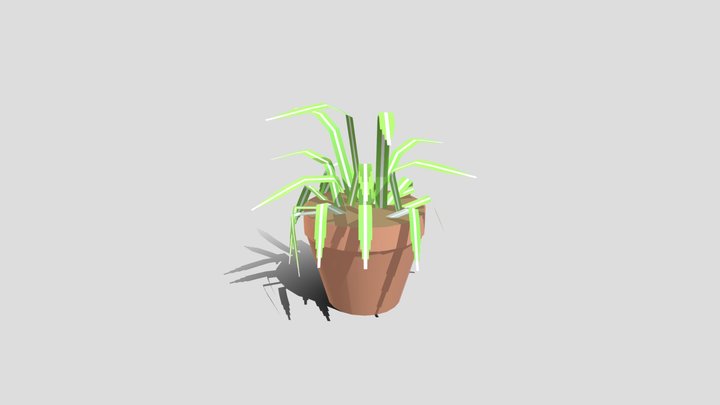 Spider Plant 3D Model