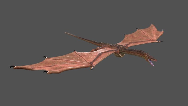 Dragon 3D Model