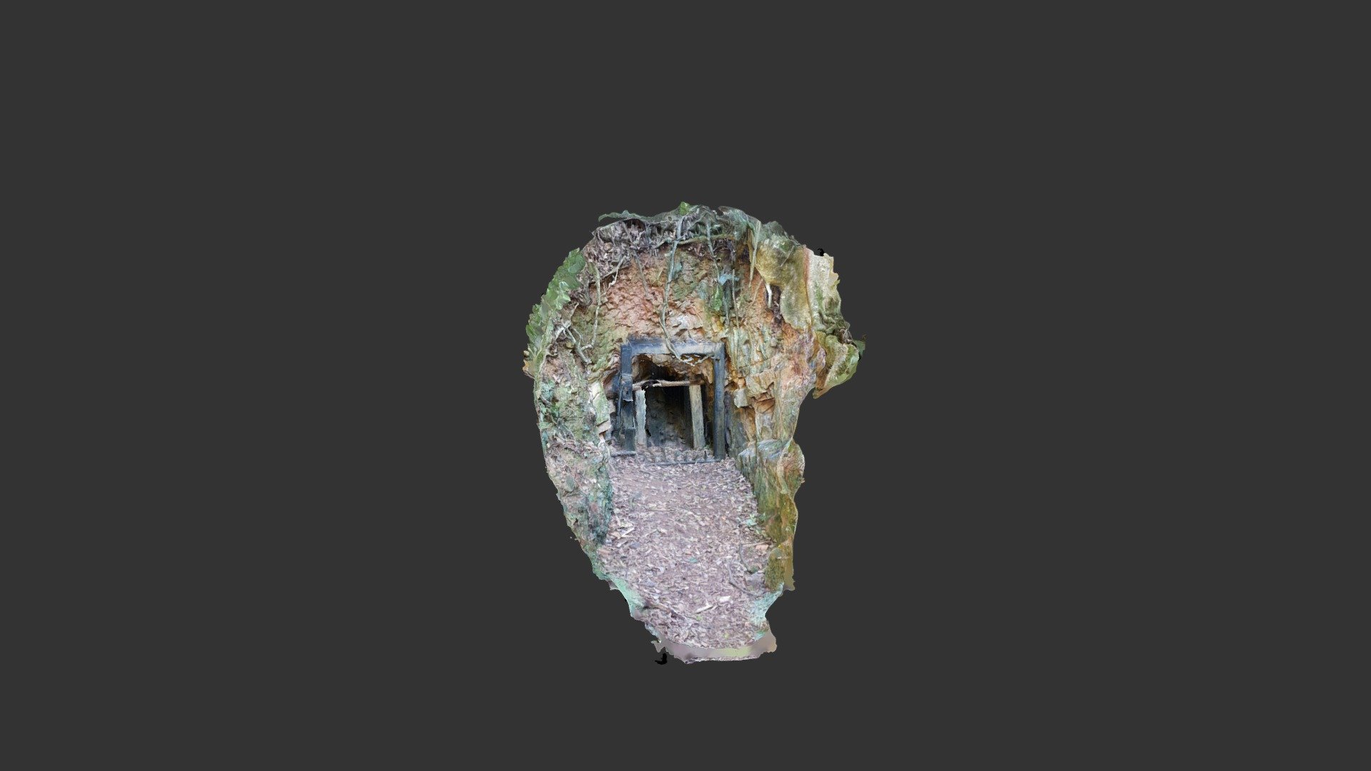 Hidden Treasure Gold Mine