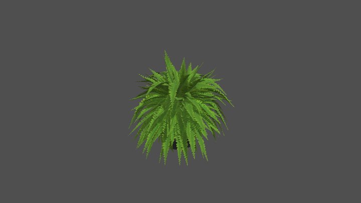 Indoor Live House Plant 3D Model