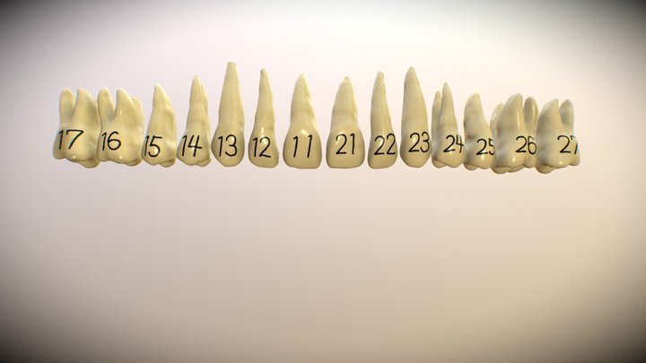 Up 3D Model