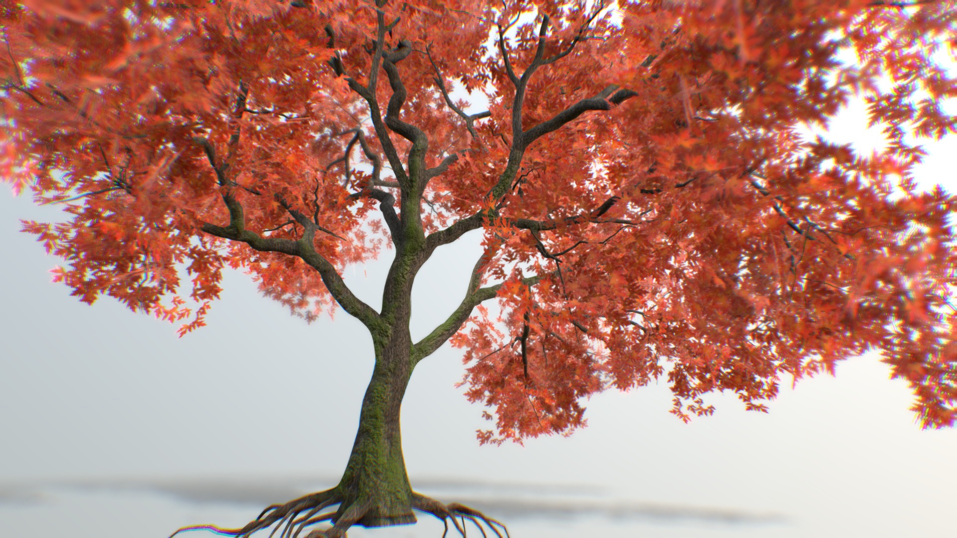 3D model Tree Maple 02 - This is a 3D model of the Tree Maple 02. The 3D model is about a tree with red leaves.