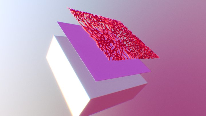 Three Components of a Cardiac Patch 3D Model