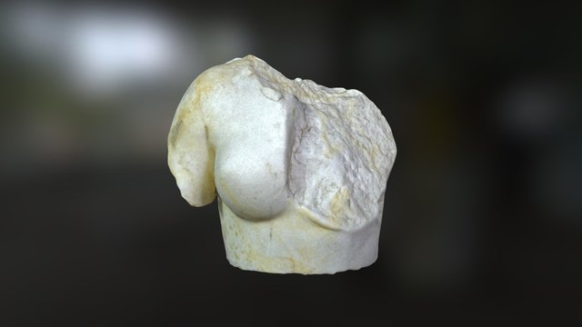 Aphrodite Torso 3D Model