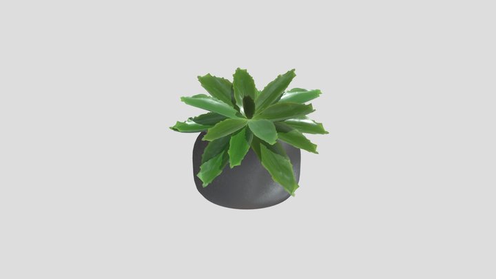 Indoor Plant D – Gratis 3D-model STL