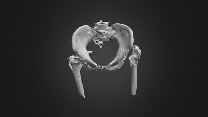 2018.12.05. V. E. 3D Model