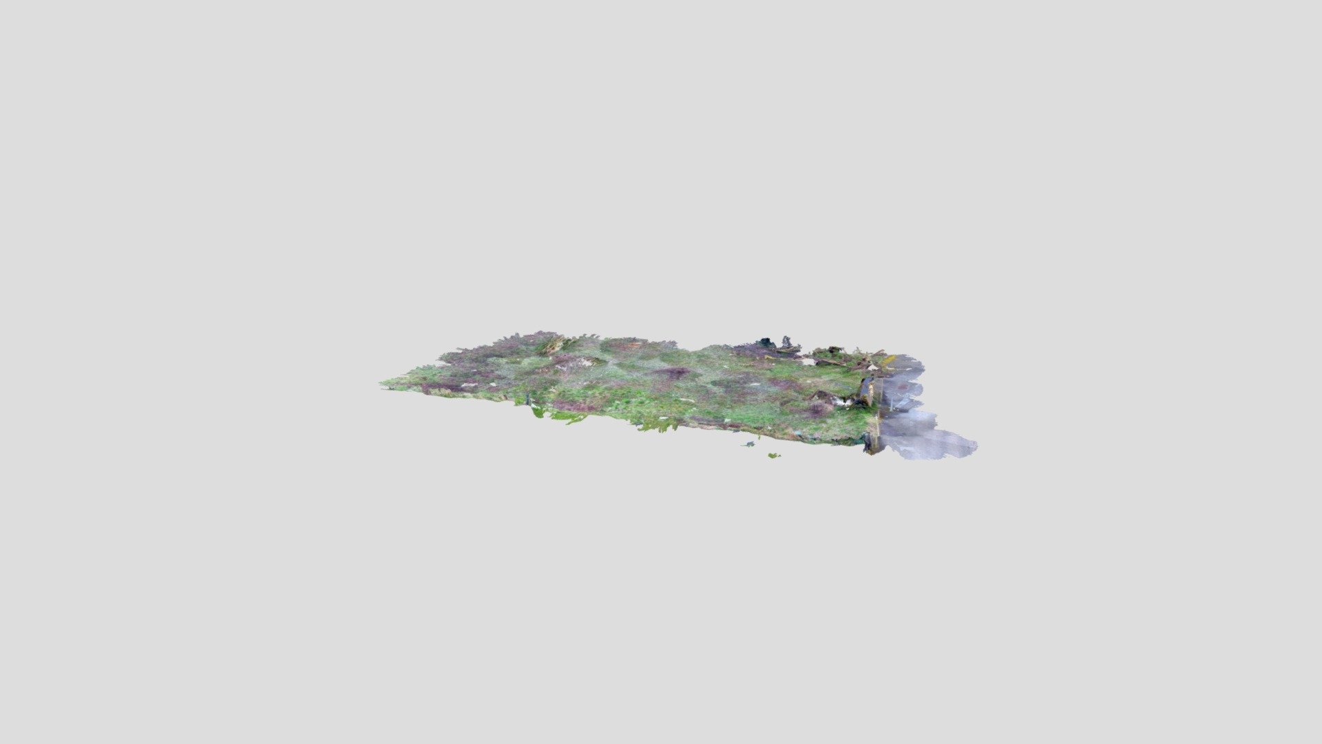 terrain