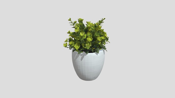 Plant_pots 3D Model